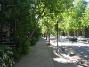 montreal_0002