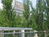 montreal_0024