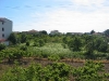 croatia_2004_0036