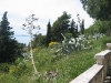 croatia_2004_0044