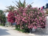 croatia_2005_0022