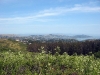 sf_2007_0001