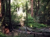 sf_2007_0003